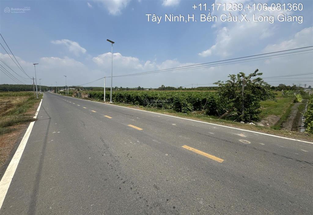 Ngân hàng phát mại bán đấu giá 8610.6m2 tại ấp long hòa, xã long chữ cực đẹp
