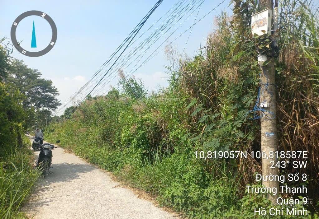 Bán đất tại 80/65 đường 4, khu phố ích thạnh, quận 9, giá thỏa thuận, 4226m2