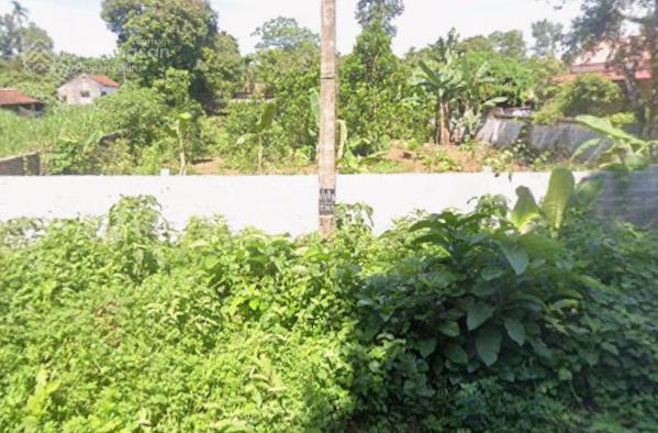 Ngân hàng phát mại bán đấu giá lô đất 560,8m2 tại khu phố thăng long