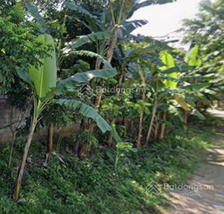 Ngân hàng phát mại bán đấu giá lô đất 560,8m2 tại khu phố thăng long