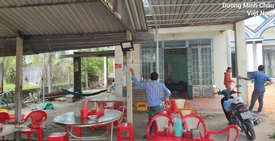 Bán nhà riêng tại mặt đường phước hội  phước bình, 2,6 tỷ, 1196,8 m2, view đẹp, giá siêu hời
