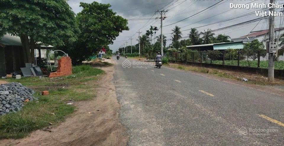 Bán nhà riêng tại mặt đường phước hội  phước bình, 2,6 tỷ, 1196,8 m2, view đẹp, giá siêu hời