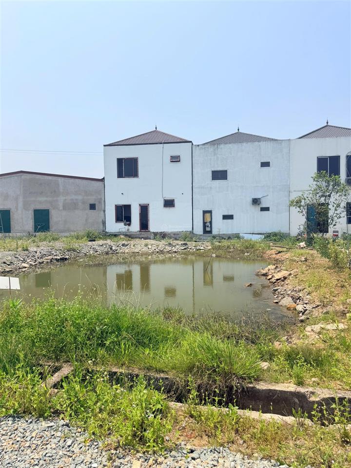 Ngân hàng phát mại bán đấu giá lô đất tại cẩm thành  cẩm xuyên  hà tĩnh