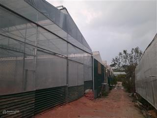 Tôi chủ nhà cần cho thuê mặt bằng làm kho, xưởng 300m2 tp đà lạt điện nước đầy đủ giá rẻ