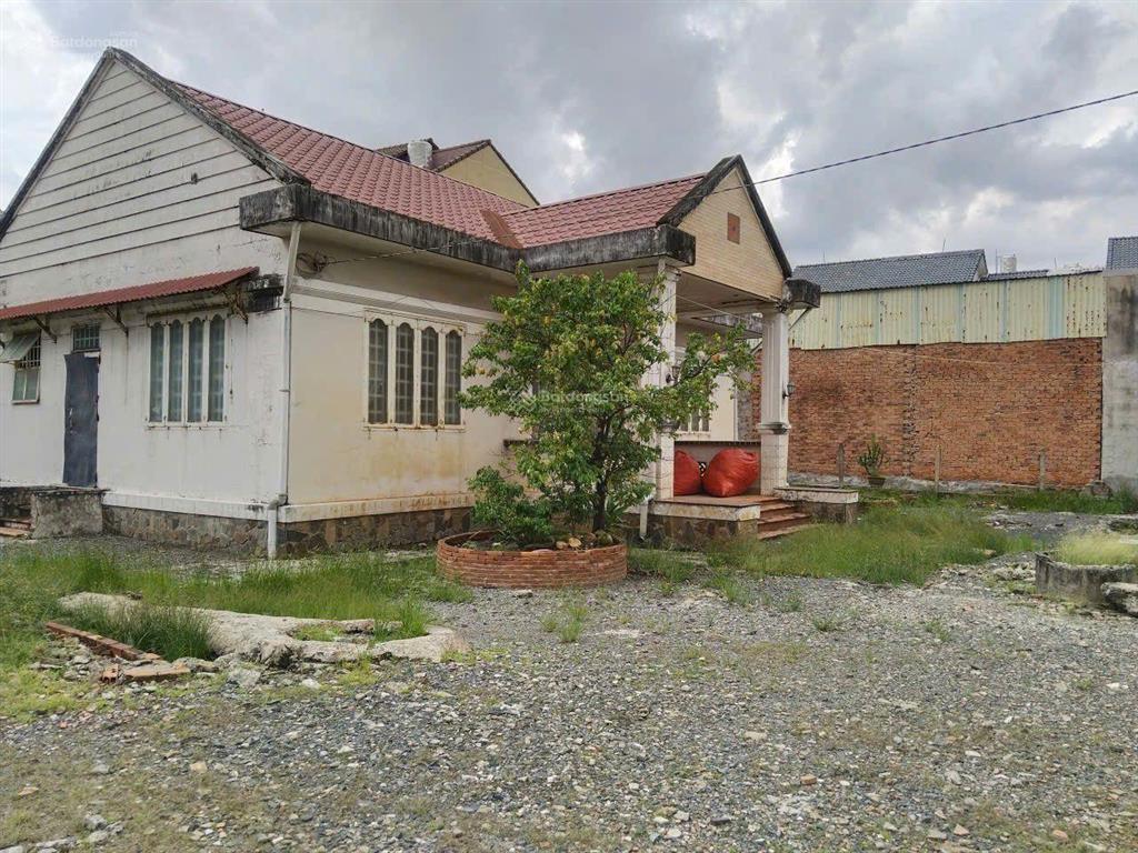 Mặt tiền kinh doanh an phú đông 9, quận 12  cấp 4 1400m2, 19,4x52m nở hậu full thổ  chỉ 68,9 tỷ