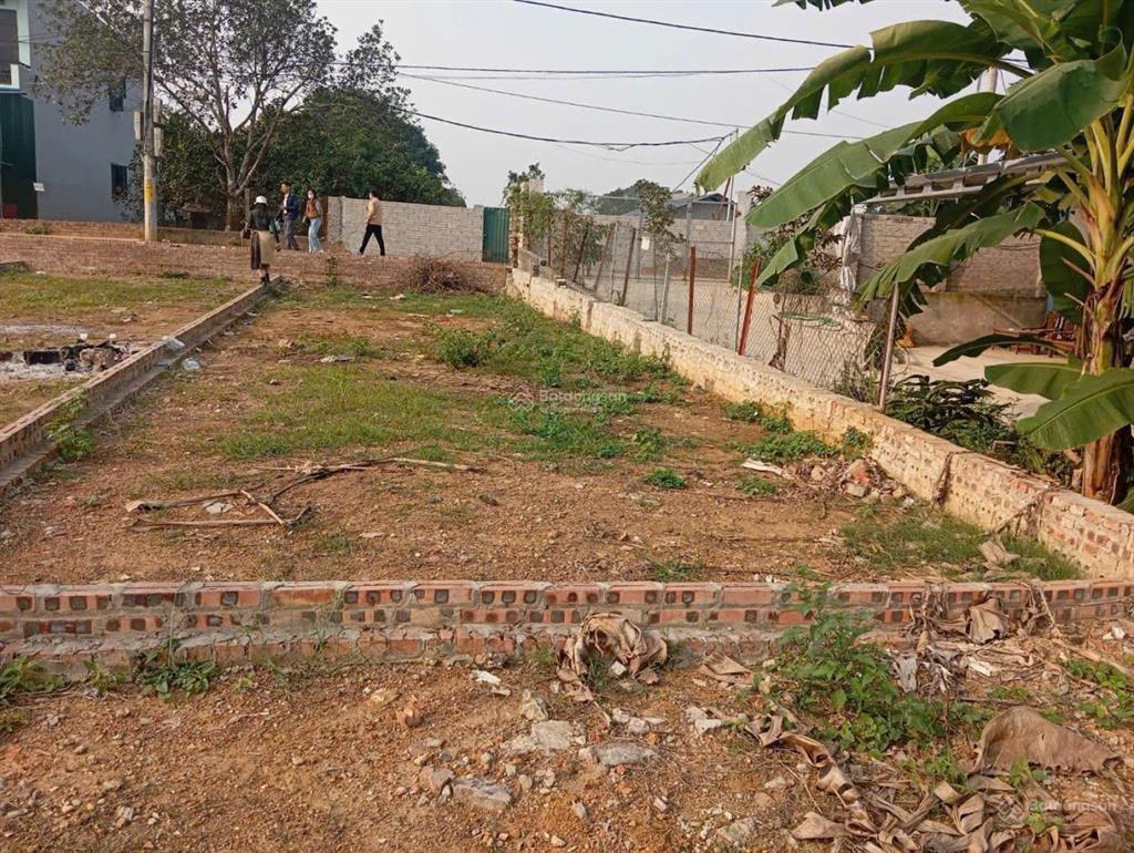 2.x tỷ, bán đất đoài phương, 102.9m2 vuông vắn, đường ô tô