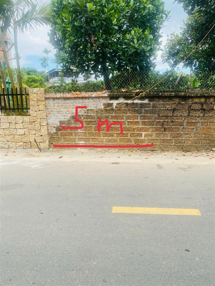 Đất dân bán  mặt đường cổ đông  100m2 mt 5m hàng hot