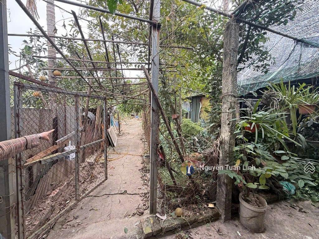 Bán 810m2 trang trại thôn đìa, nam hồng  sẵn nhà, sân, vườn  phong cách homestay