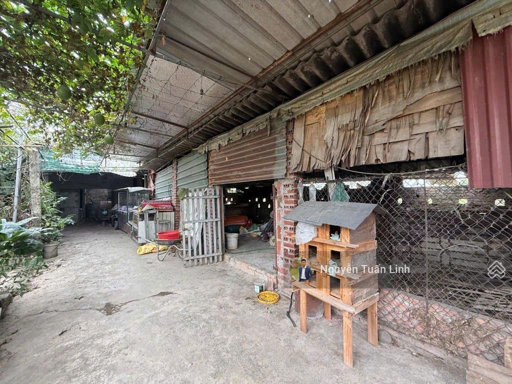 Bán 810m2 trang trại thôn đìa, nam hồng  sẵn nhà, sân, vườn  phong cách homestay