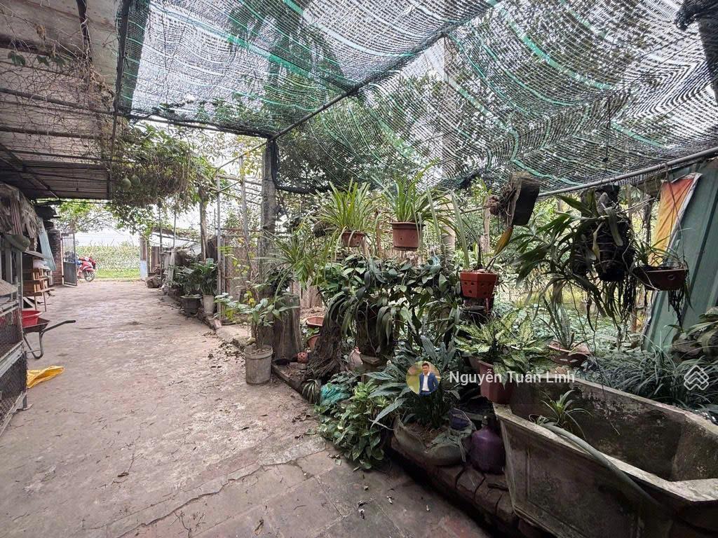 Bán 810m2 trang trại thôn đìa, nam hồng  sẵn nhà, sân, vườn  phong cách homestay