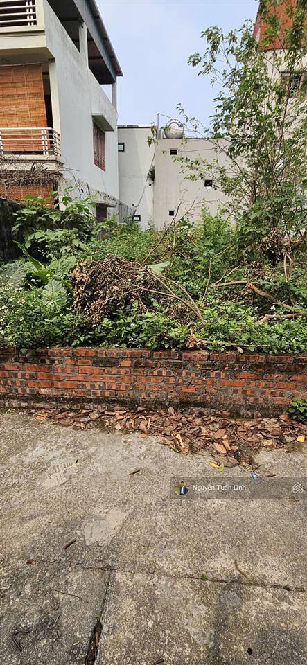 Bán 75m2 đất xóm thượng, uy nỗ, đông anh  dân cư chợ tó sầm uất  sát đường cao lỗ