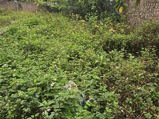 Lô 90m2 bến trung, bắc hồng  gần vin bh  mặt tiền 5m vuông vắn