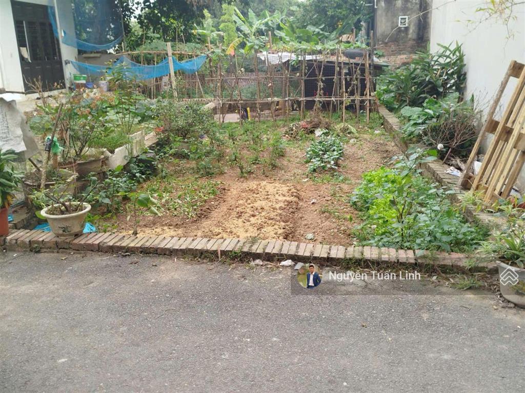 Đất vàng 44m2 lâm tiên, thị trấn đông anh, đường 4m, ô tô tải đỗ  tiện ích bạt ngàn