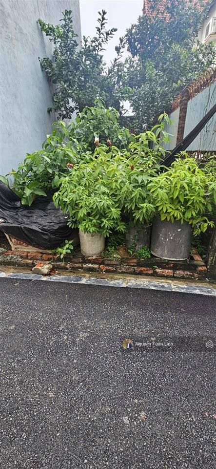 Đất vàng 30m2 mỹ nội, bắc hồng  đường thông trải nhựa ô tô 7 chỗ vào đất