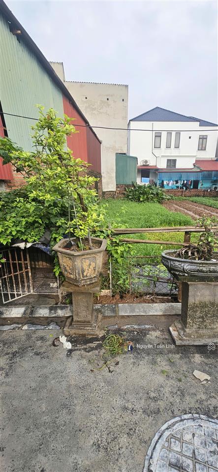 Bán 64m2 đất mạch lũng, đại mạch  ngay chân cầu thượng cát  vuông vắn