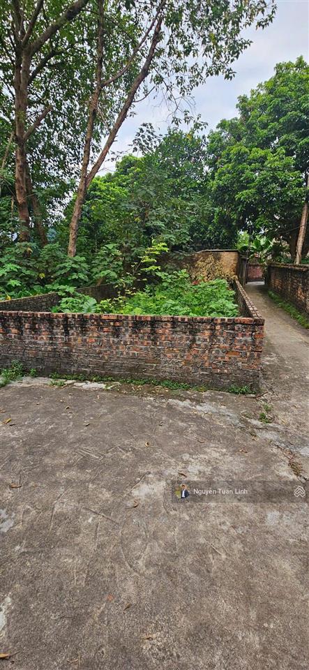 Đất đẹp 44m2 lâm tiên, thị trấn đông anh, đường 3,5m, ô tô