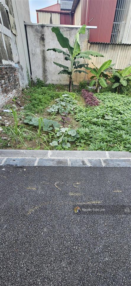 Bán 42m2 đất thôn xuân nộn, vuông vắn, nhỏ tiền, đường nhựa ô tô vào