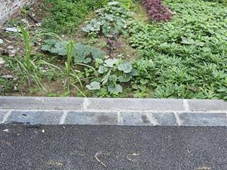 Bán 42m2 đất thôn xuân nộn, vuông vắn, nhỏ tiền, đường nhựa ô tô vào
