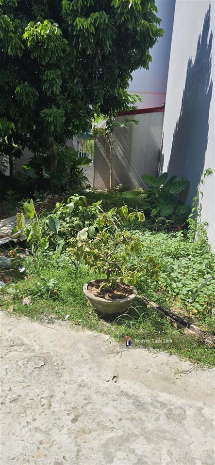 Xót lại!! đất vàng 46m2 đại đồng, đại mạch  giá tốt  vios đỗ cửa