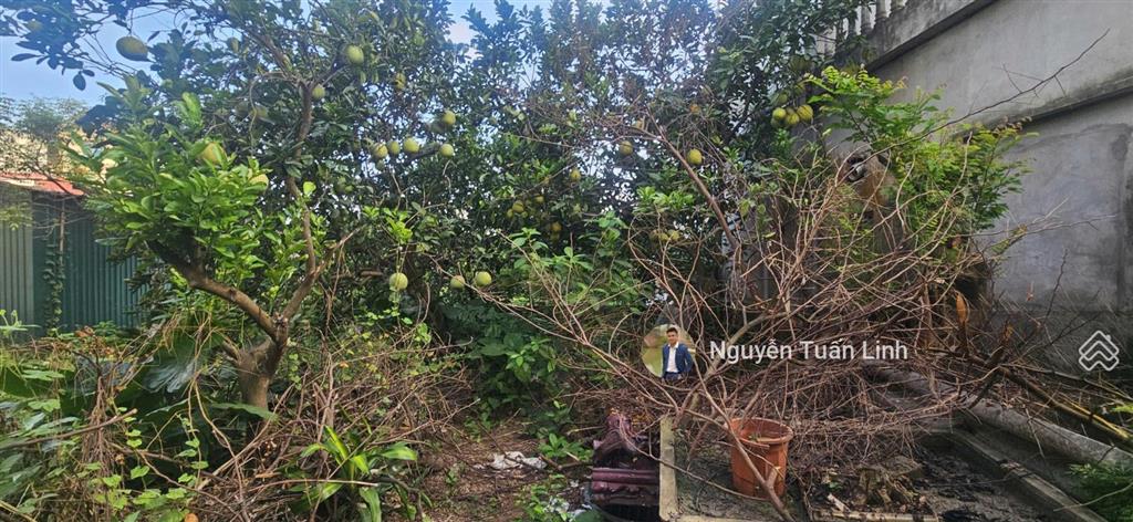 Bán nhà sân vườn 211m2 mạch lũng, đại mạc  giá tuyệt chủng  tiện ích đầy đủ