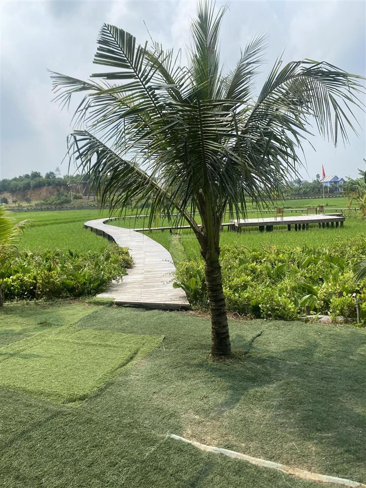 Bán mảnh đất 2000m2 tại thôn đô lương, xã bắc sơn, huyện sóc sơn. dt đất thổ cư lớn, đường xe tải