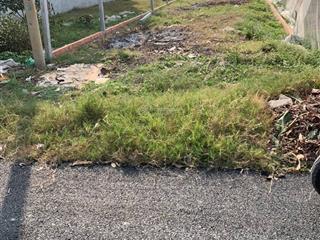 Ôm sát chủ lô đất 123m2 mặt tiền đường 86, nở hậu 5m5, khu vực dân cư sầm uất, quốc lộ 22 vào 900m