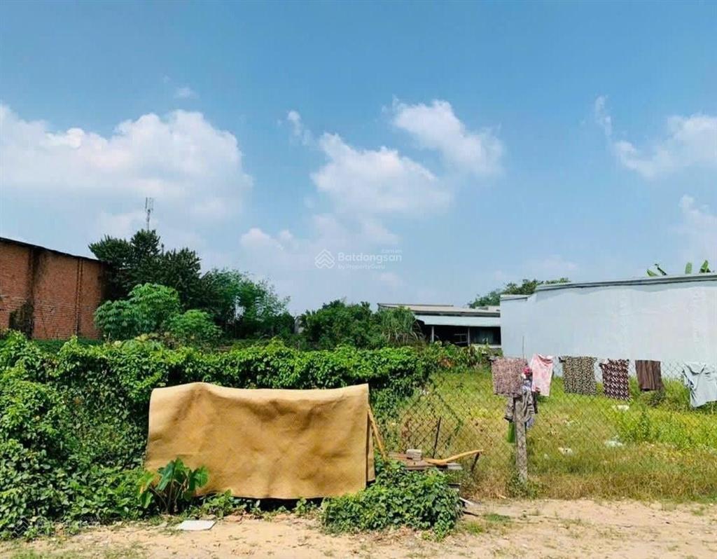 Lô đất hướng đông tứ trạch 174m2 mt đường lê thị nghiên, ngay cạnh trường thcs tân thạnh đông, shr