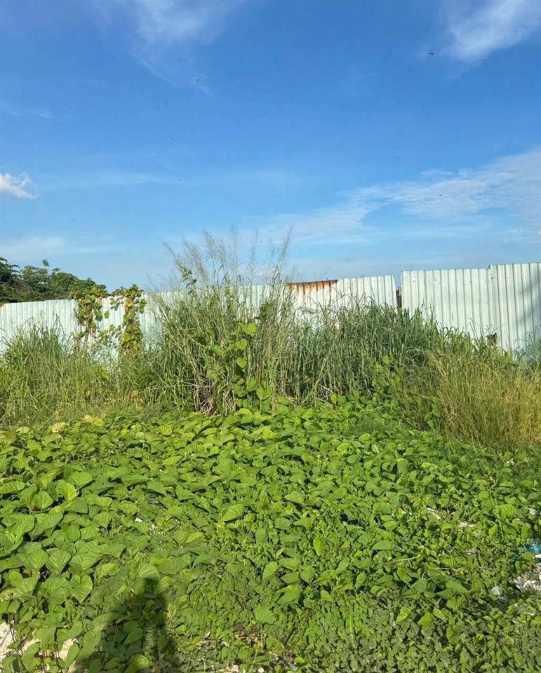 SIÊU QUỸ ĐẤT MẶT TIỀN RẠCH VƯỜN LÀI – AN PHÚ ĐÔNG Q12 – GẦN 3.800M²