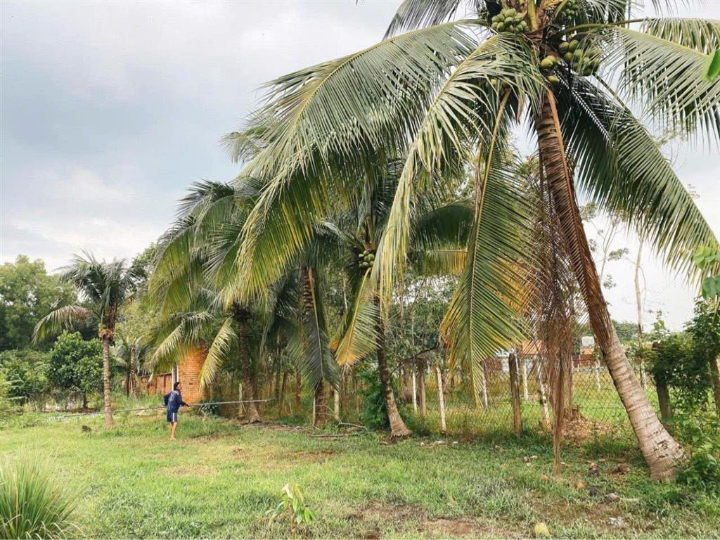 ĐẤT RỘNG PHÚ MỸ HƯNG – CỦ CHI - GIÁ MỀM NGANG LỚN 28M – CÓ 500M² THỔ CƯ