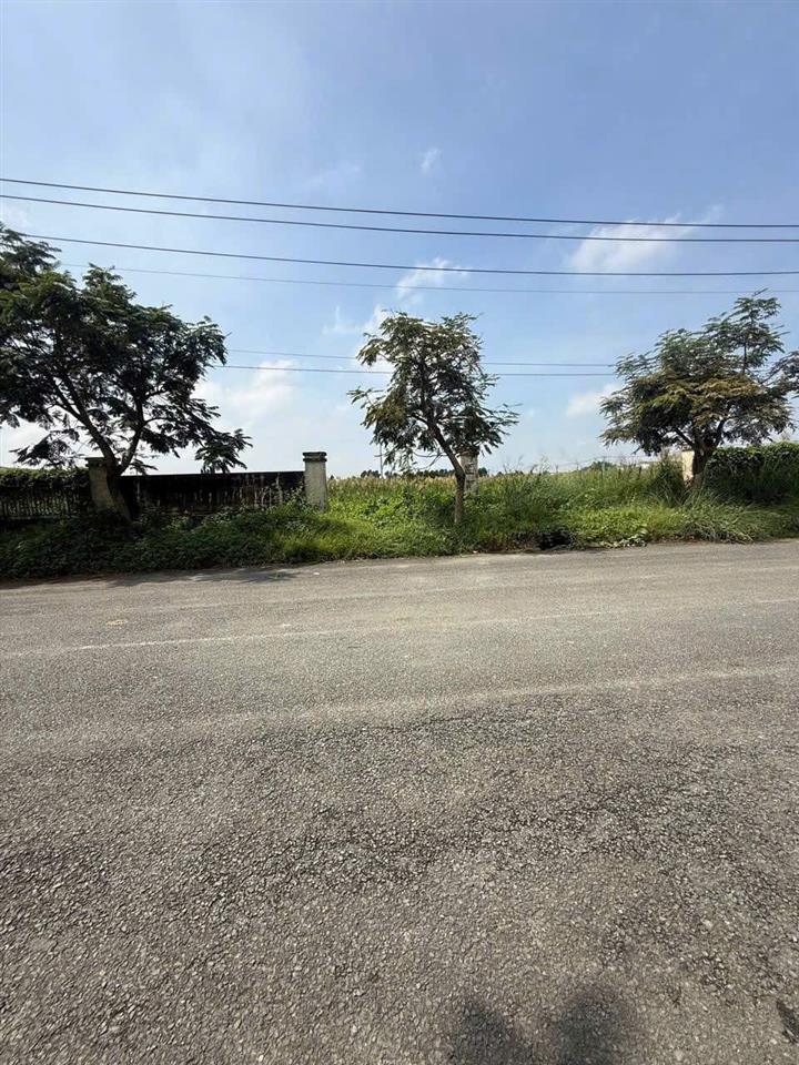 ĐẤT SKC 7.000M² – ĐƯỜNG CONTAINER – XÂY XƯỞNG NGAY TẠI HÓC MÔN