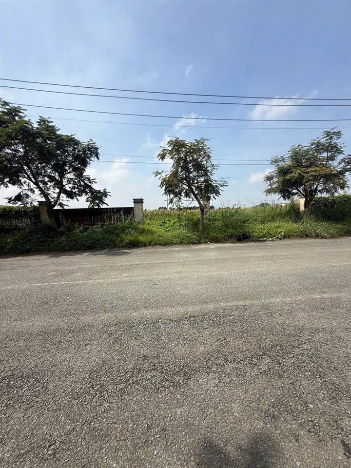 ĐẤT SKC 7.000M² – ĐƯỜNG CONTAINER – XÂY XƯỞNG NGAY TẠI HÓC MÔN