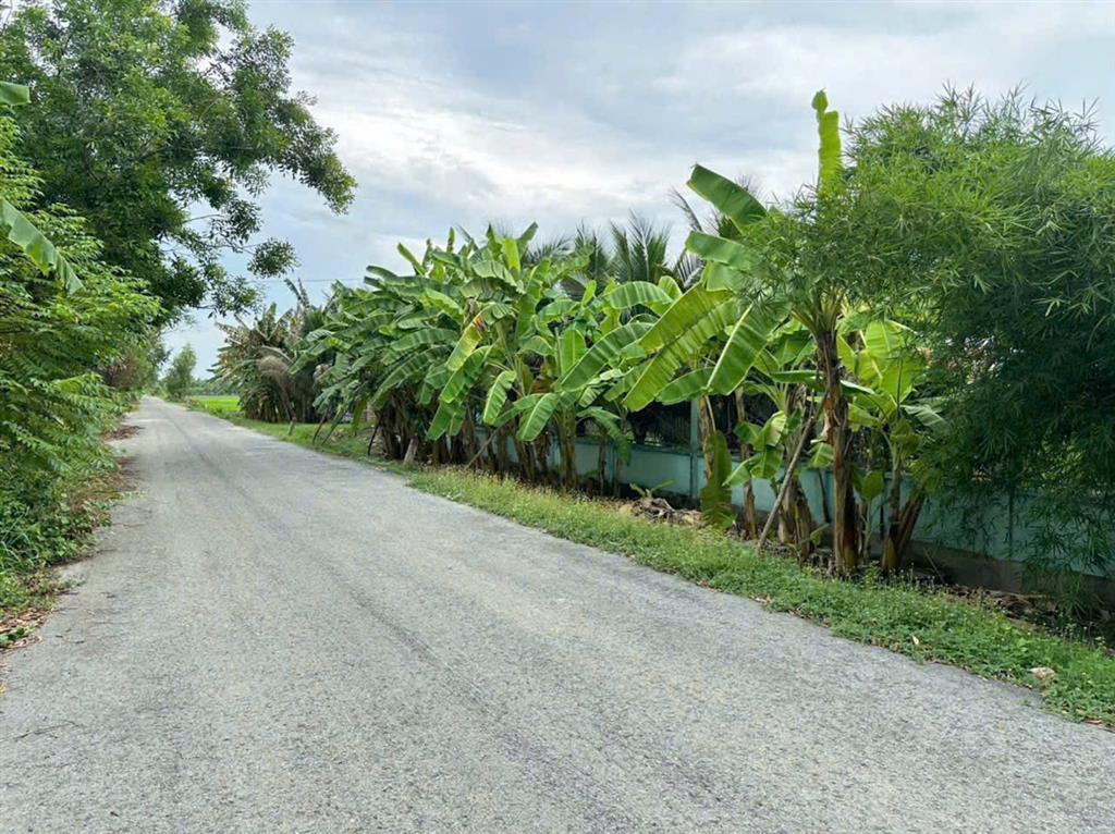 NGỘP CẮT LỖ! 6.000M² ĐẤT CỦ CHI CHỈ 1 TRIỆU/M² – GIÁ CHỐT 6 TỶ