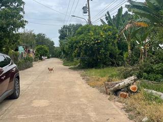 Chính chủ bác tuấn gửi bán 342m2+100tc, ngang 6m, ngay chợ an linh, cách dh 507 vào 150m giá 620tr