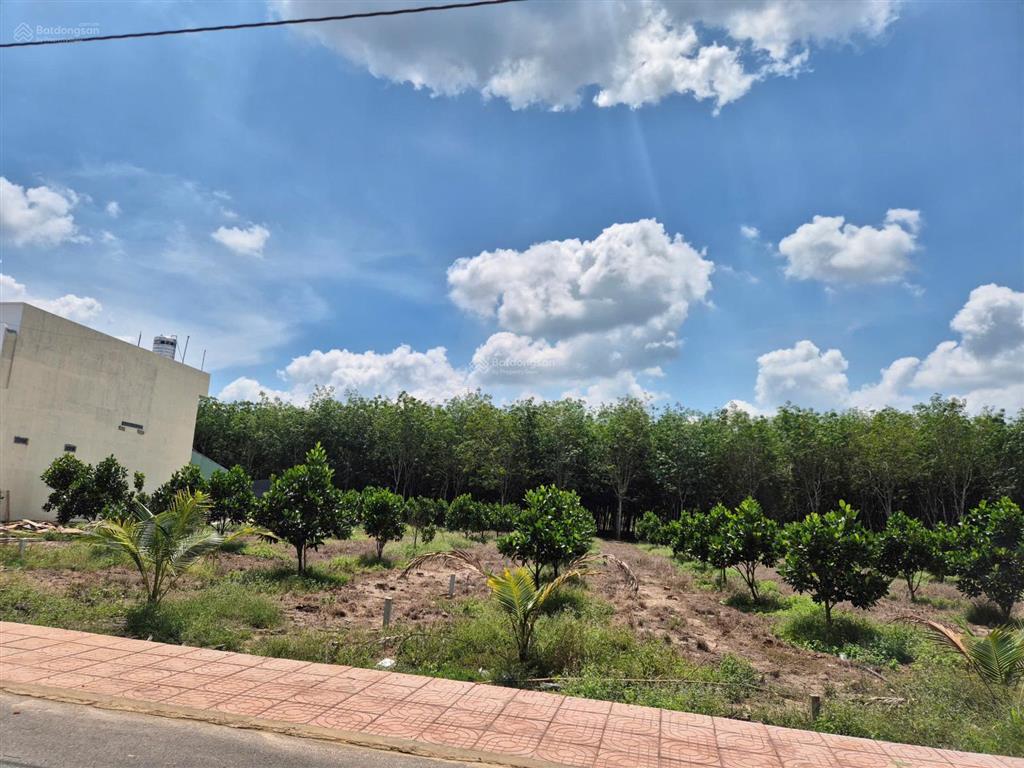 Đất thật  người thật  giá thật. 343.3m2 có 100m2 tc, hiện hữu nhựa 8m. dân cư đông đúc. giá 650tr