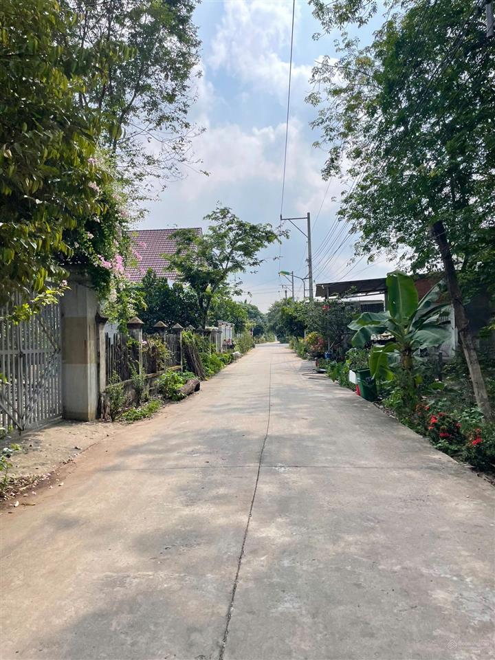 Đất hcm  giá bao sổ  tổng dt 6,01x35m = 205,5m2 sổ riêng thổ cư sát chợ, betong 12m giá 650tr