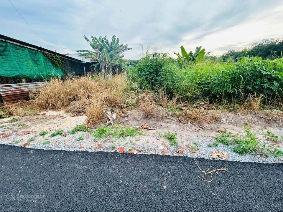 Chủ gửi bán 309m2 sẵn 100m2 tc, ngay sau lưng chợ sát cụm kcn an linh 1000ha, gần trường, giá 550tr