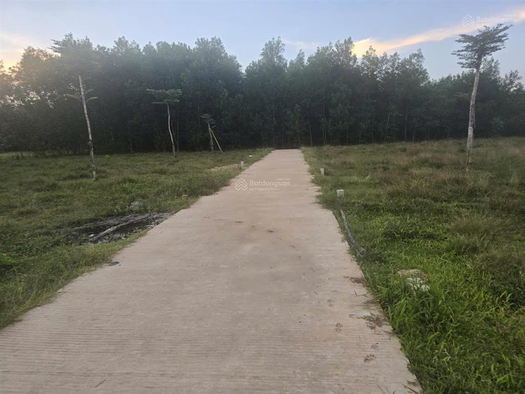 Bán đất full thổ cư 135m2, đường bê tông 4m, tại thọ phong, quảng ngãi  giá chỉ 1.110 tỷ