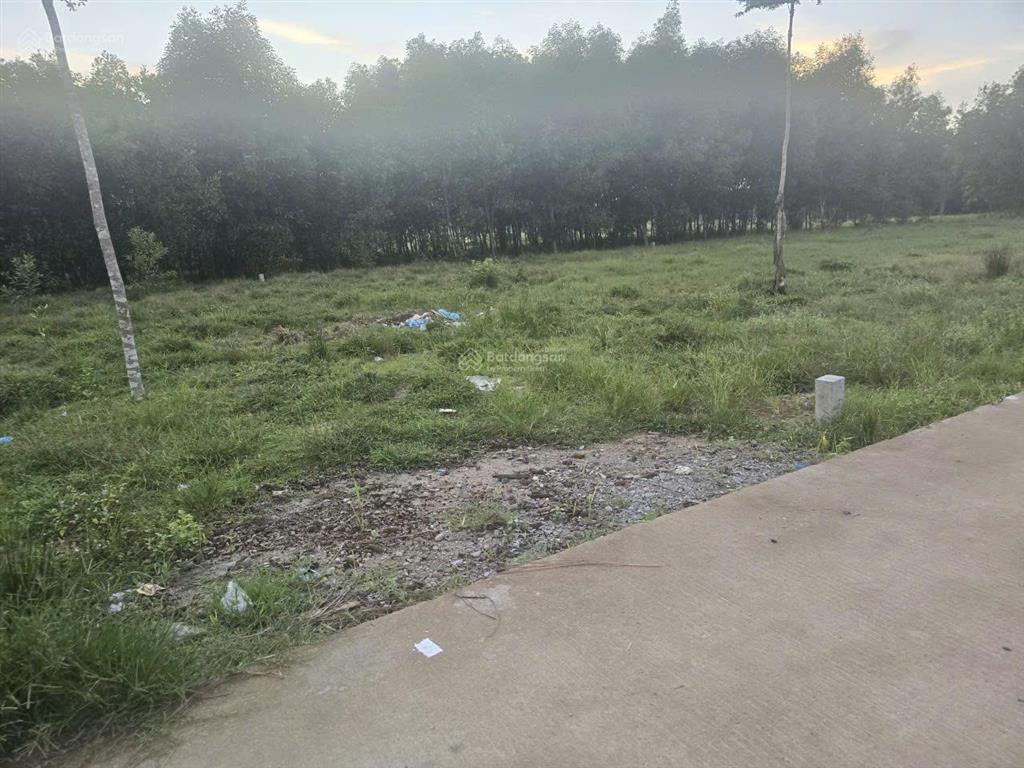 Bán đất full thổ cư 126m2, đường bê tông 4m, tại thọ phong, quảng ngãi  giá chỉ 1.110tỷ