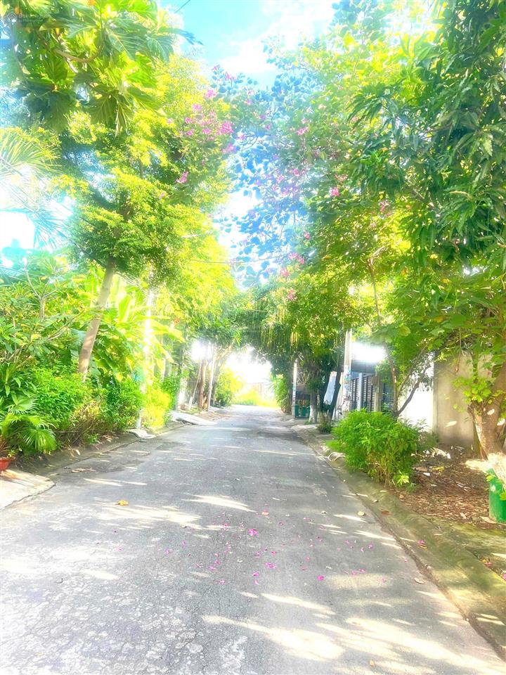 Cho thuê biệt thự 8x20m tại số 7, kdc nam hùng vương, phường an lạc, giá 80 triệu vnd