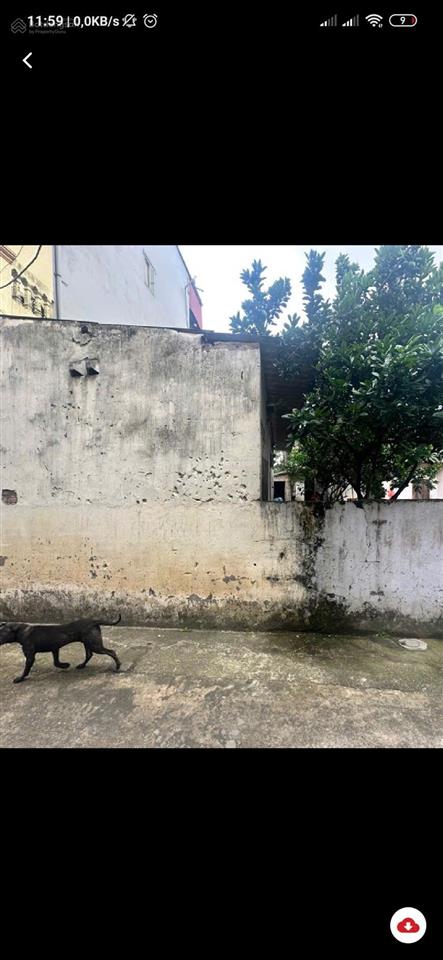 Bán đất đẹp gia lâm 91 m, ô tô đỗ cửa tặng nhà cấp 4