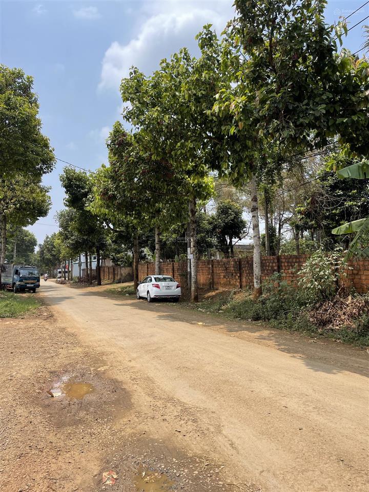 Bán đất tại nguyễn bá lai, thắng lợi, plei ku 23.3m mặt tiền đường nbl, view đẹp, giá tốt.