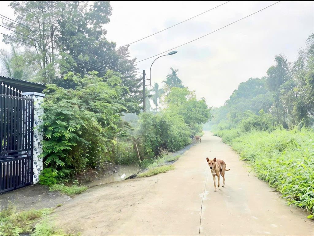Chính chủ cần bán 3 căn nhà 1/ đường trung an, dt 1979m2 có 74m2 thổ cư, xung quanh nhiều nhà vườn