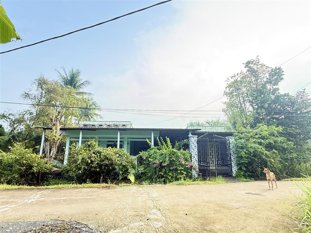 Chính chủ cần bán 3 căn nhà 1/ đường trung an, dt 1979m2 có 74m2 thổ cư, xung quanh nhiều nhà vườn