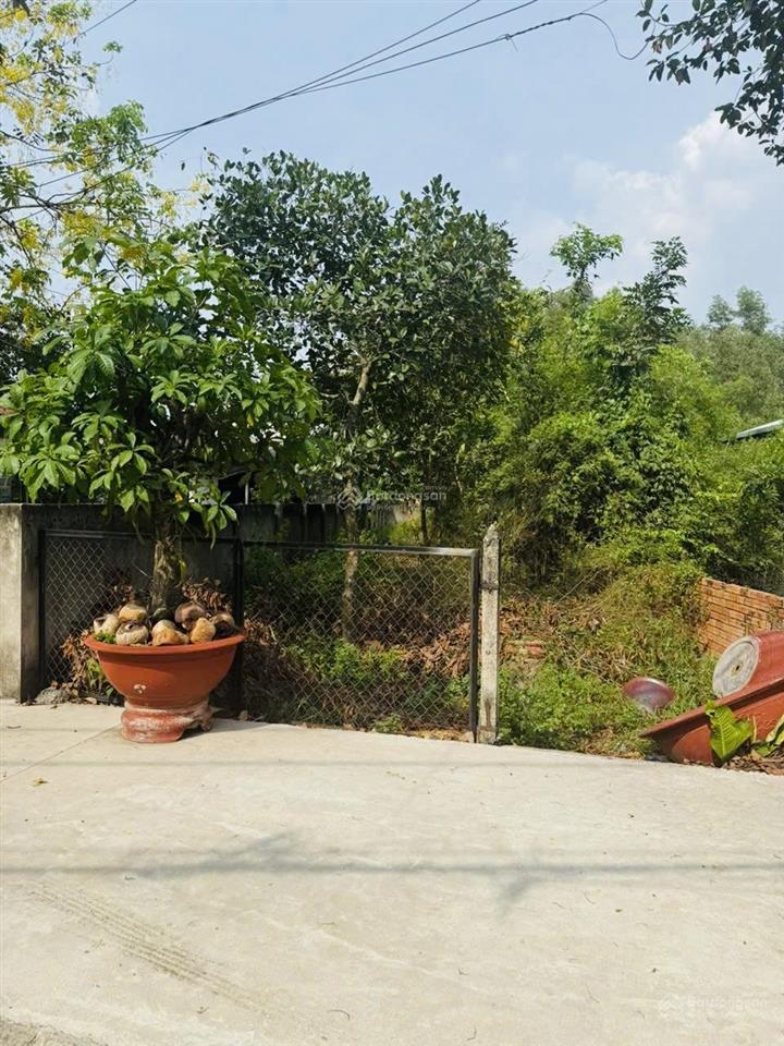 #4 tỷ 2đất dx065định hòa279m2
ngộp bankdt 6.5 x 43 thổ cư80m2.có giá thương lượng tốt