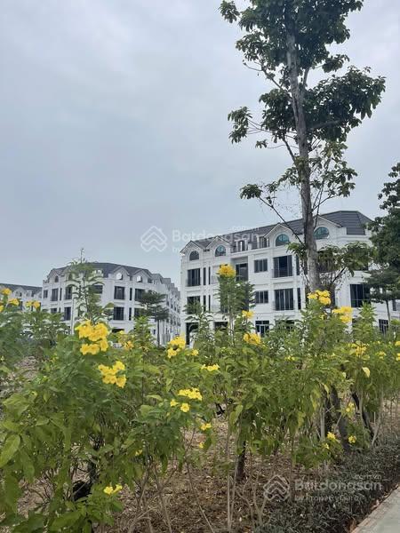 Bán căn liền kề dự án nhóm nhà ở tây nam mễ trì, đường châu văn liêm, mỹ đình.