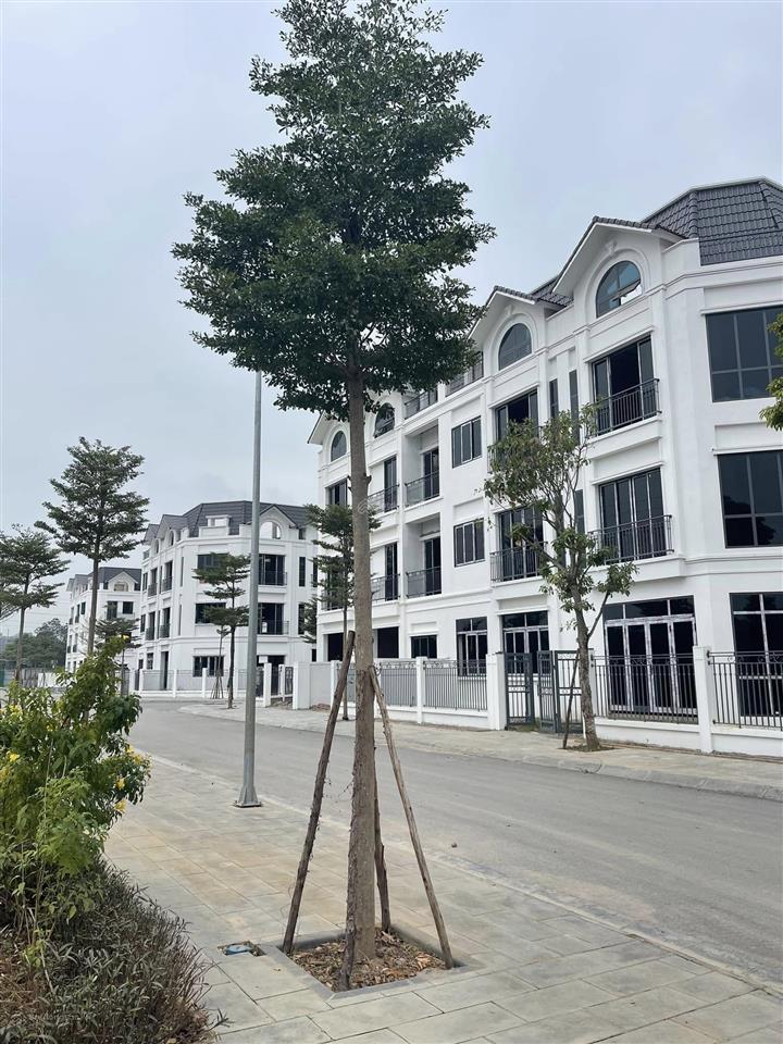 Bán căn liền kề dự án nhóm nhà ở tây nam mễ trì, đường châu văn liêm, mỹ đình. liền kề 102 m²