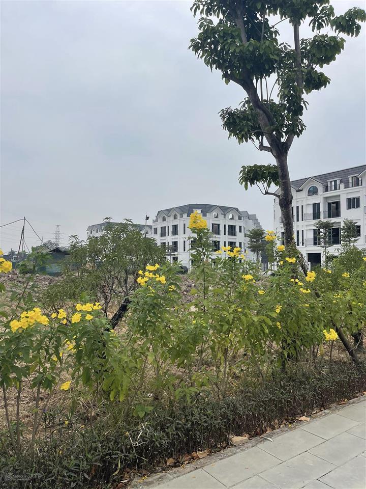 Bán căn liền kề dự án nhóm nhà ở tây nam mễ trì, đường châu văn liêm, mỹ đình. liền kề 102 m²