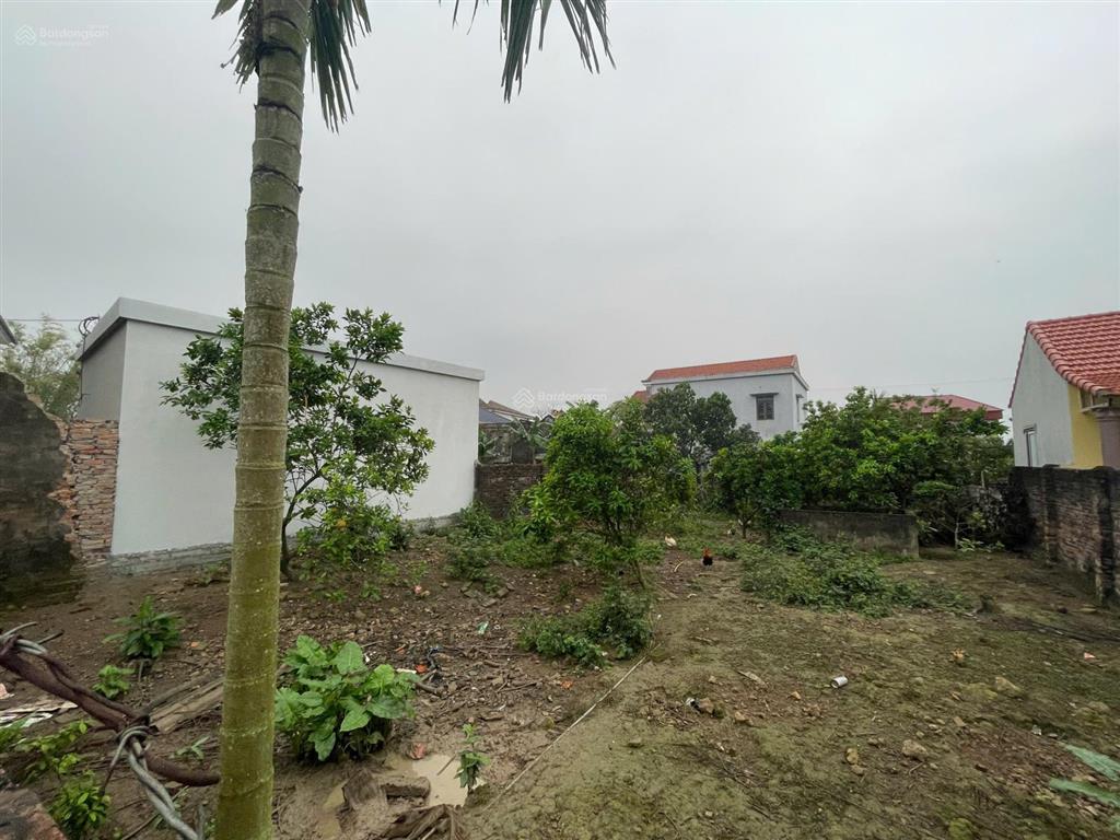 Chính chủ gửi bán lô đất thổ cư 345m², mt 12,5m, full thổ cư, vuông vắn, vị trí đẹp. giá 1,8 tỷ