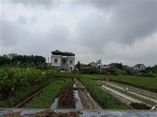 Cần bán nhanh 120m² giãn dân đình trung