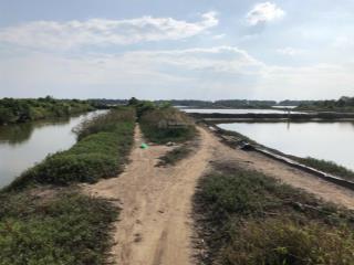 Chính chủ bán đất thủy sản lý nhơn, cần giờ